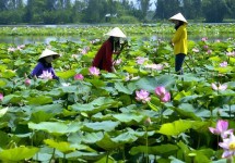Tour Miền Tây 3 Ngày 2 Đêm (Cái Bè – Cần Thơ – Châu Đốc)
